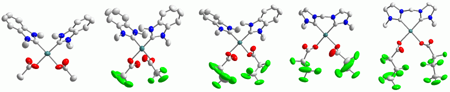 Carboxylato Complexes Carboxylato Complexes