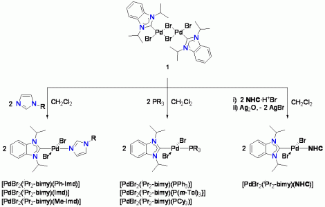 Dimer cleavage