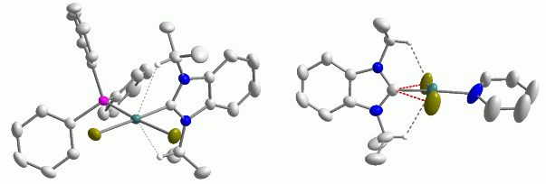 phosphine and pyridine complexes