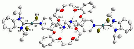 rotaxane rotaxane